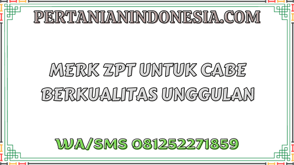 Merk ZPT Untuk Cabe Berkualitas Unggulan